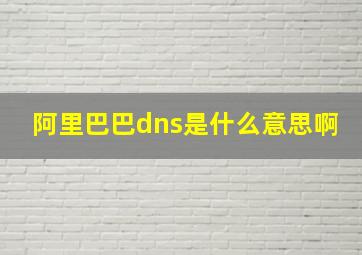 阿里巴巴dns是什么意思啊