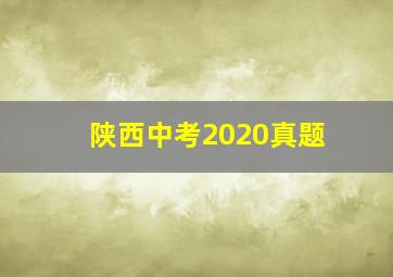 陕西中考2020真题