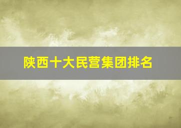 陕西十大民营集团排名