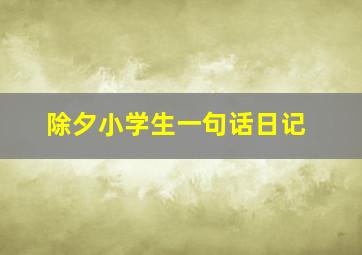 除夕小学生一句话日记