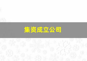 集资成立公司