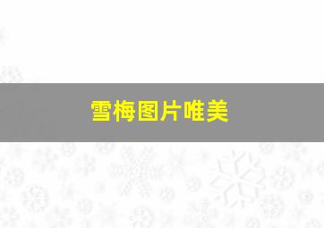 雪梅图片唯美