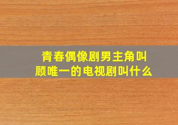 青春偶像剧男主角叫顾唯一的电视剧叫什么