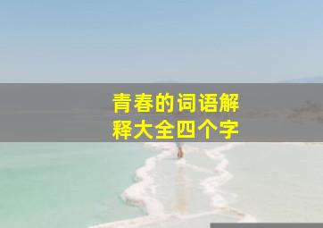 青春的词语解释大全四个字