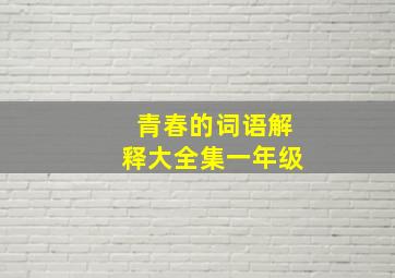 青春的词语解释大全集一年级