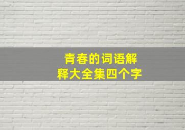 青春的词语解释大全集四个字