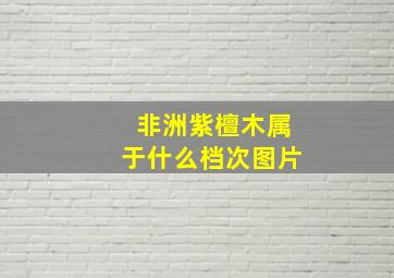 非洲紫檀木属于什么档次图片