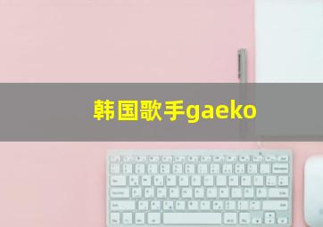 韩国歌手gaeko