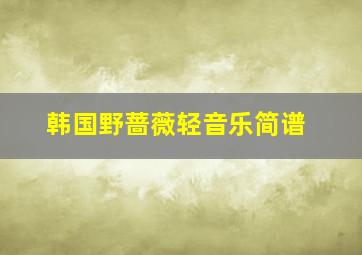 韩国野蔷薇轻音乐简谱