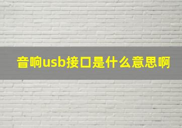 音响usb接口是什么意思啊