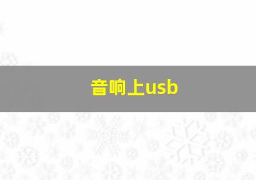 音响上usb