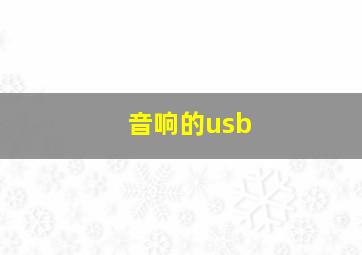 音响的usb