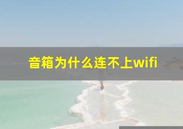 音箱为什么连不上wifi