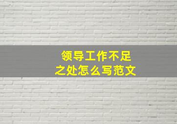 领导工作不足之处怎么写范文