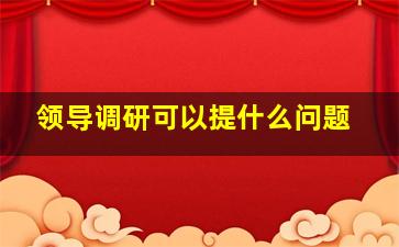 领导调研可以提什么问题