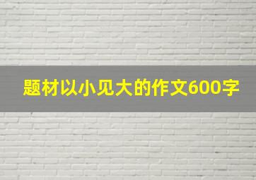 题材以小见大的作文600字