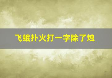 飞蛾扑火打一字除了烛