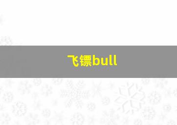 飞镖bull