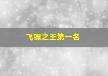 飞镖之王第一名