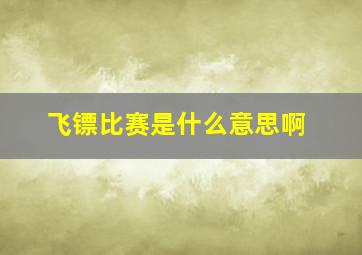 飞镖比赛是什么意思啊