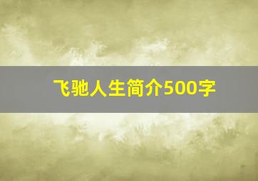 飞驰人生简介500字