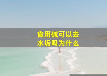 食用碱可以去水垢吗为什么