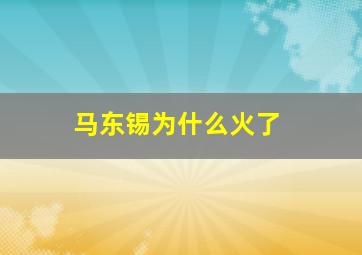 马东锡为什么火了