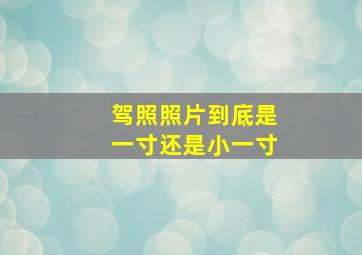 驾照照片到底是一寸还是小一寸