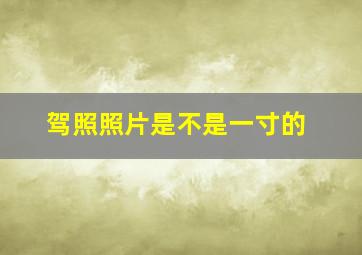 驾照照片是不是一寸的