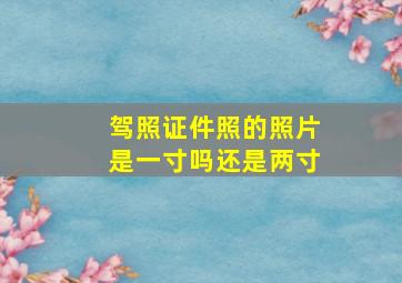 驾照证件照的照片是一寸吗还是两寸