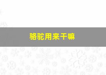 骆驼用来干嘛