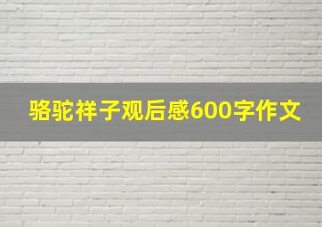 骆驼祥子观后感600字作文