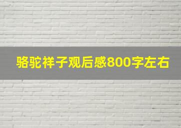 骆驼祥子观后感800字左右