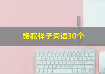 骆驼祥子词语30个