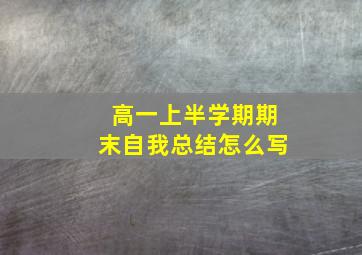 高一上半学期期末自我总结怎么写