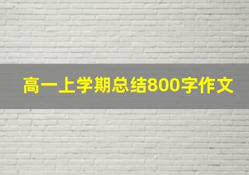 高一上学期总结800字作文