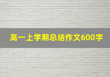 高一上学期总结作文600字