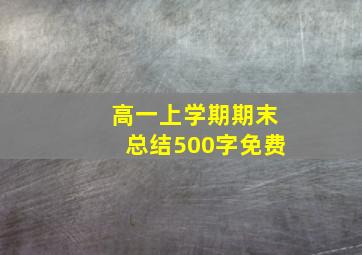 高一上学期期末总结500字免费