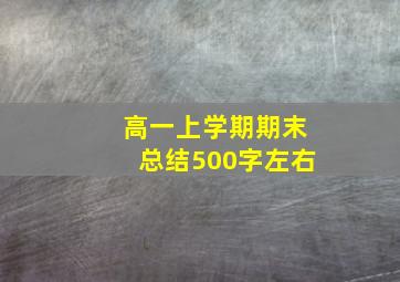 高一上学期期末总结500字左右