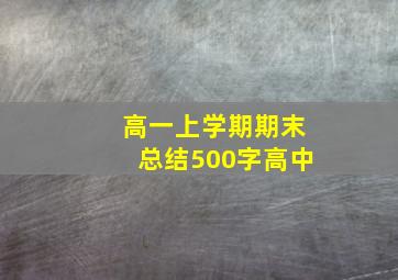 高一上学期期末总结500字高中