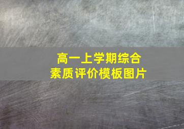 高一上学期综合素质评价模板图片