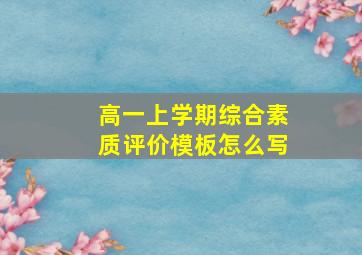 高一上学期综合素质评价模板怎么写