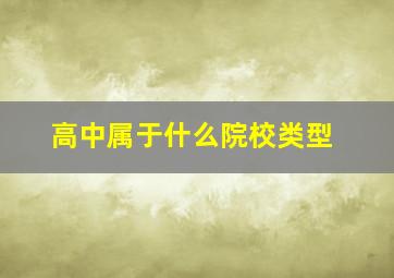 高中属于什么院校类型