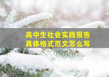 高中生社会实践报告具体格式范文怎么写