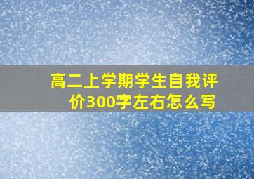 高二上学期学生自我评价300字左右怎么写