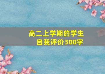 高二上学期的学生自我评价300字