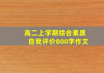 高二上学期综合素质自我评价800字作文