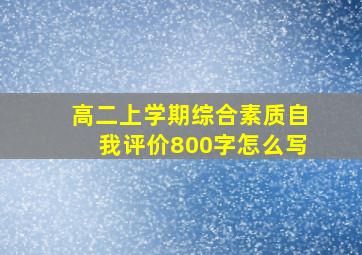 高二上学期综合素质自我评价800字怎么写