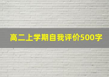 高二上学期自我评价500字