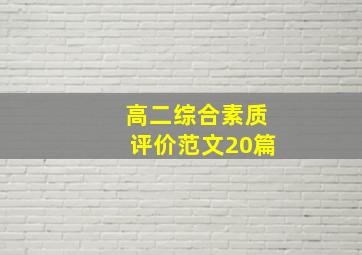 高二综合素质评价范文20篇